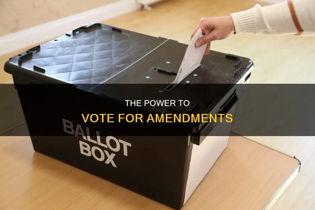 who votes for amendment to the constitution