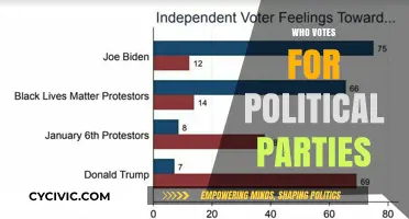 Understanding Voter Demographics: Who Votes for Political Parties and Why