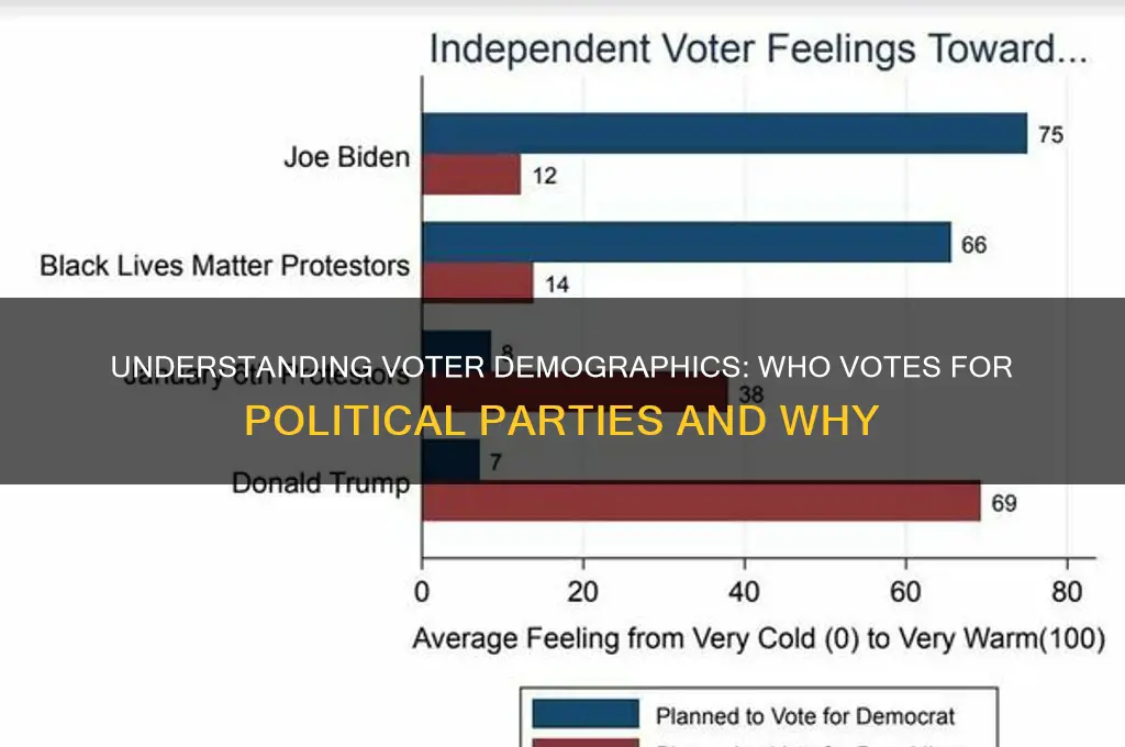 who votes for political parties