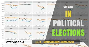 Understanding Voter Demographics: Who Participates in Political Elections and Why