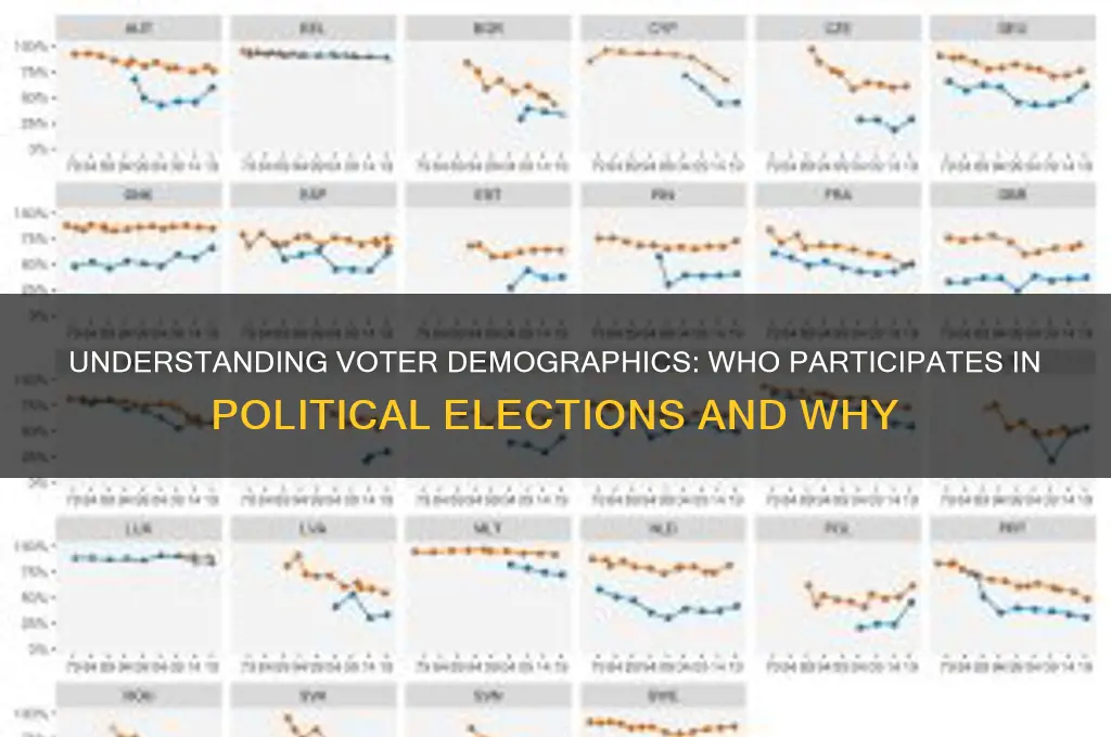 who votes in political elections
