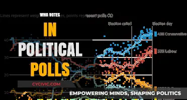 Understanding Political Poll Voters: Who Participates and Why It Matters