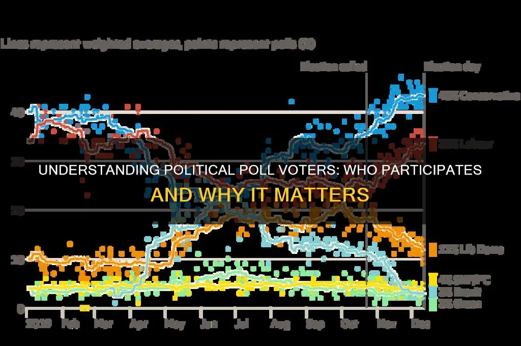 who votes in political polls