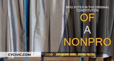 The Power of the People: Voting in Nonprofits