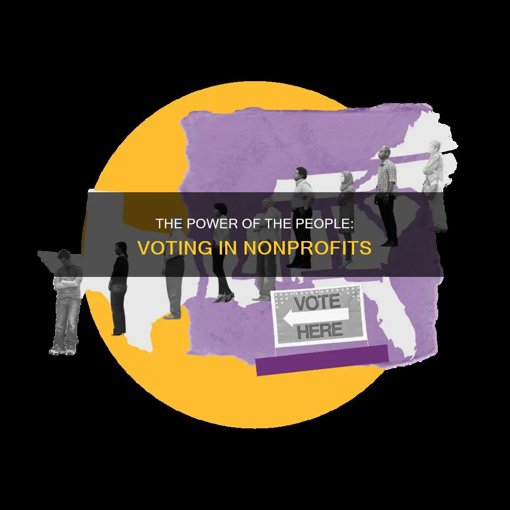 who votes in the original constitution of a nonprofit