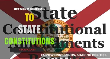 Who Can Vote on State Constitution Amendments?