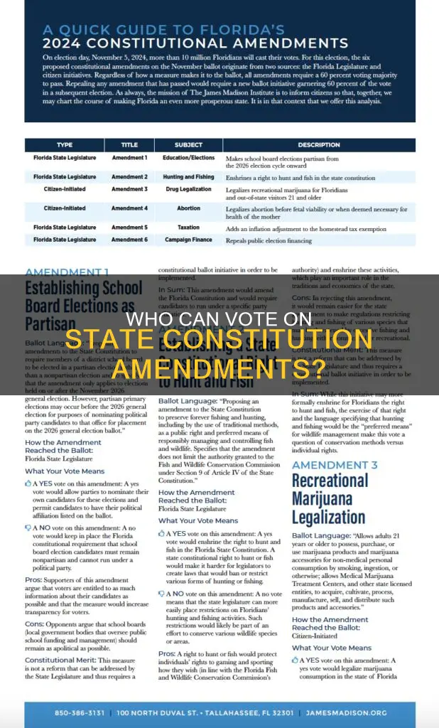 who votes on amendments to state constitutions