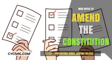Amending the Constitution: Who Votes?