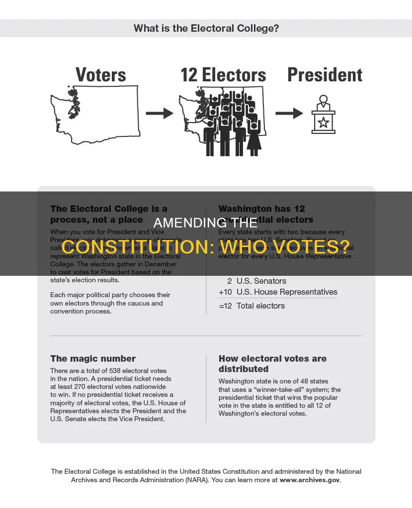 who votes to amend the constitution