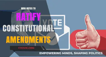 Who Decides on Constitutional Amendments?