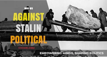 Stalin's Political Opponents: Key Figures Who Dared to Challenge His Rule
