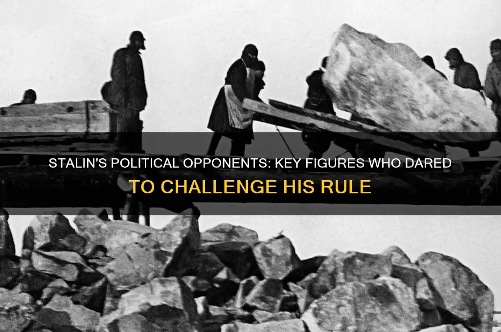 who wa against stalin political