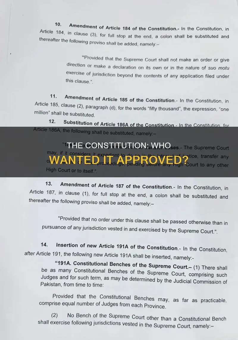 who wanted the constitution to be approved as is