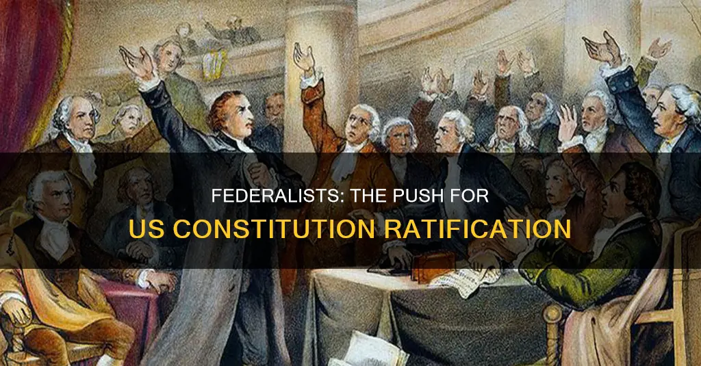 who wanted the us constitution to be ratified were called