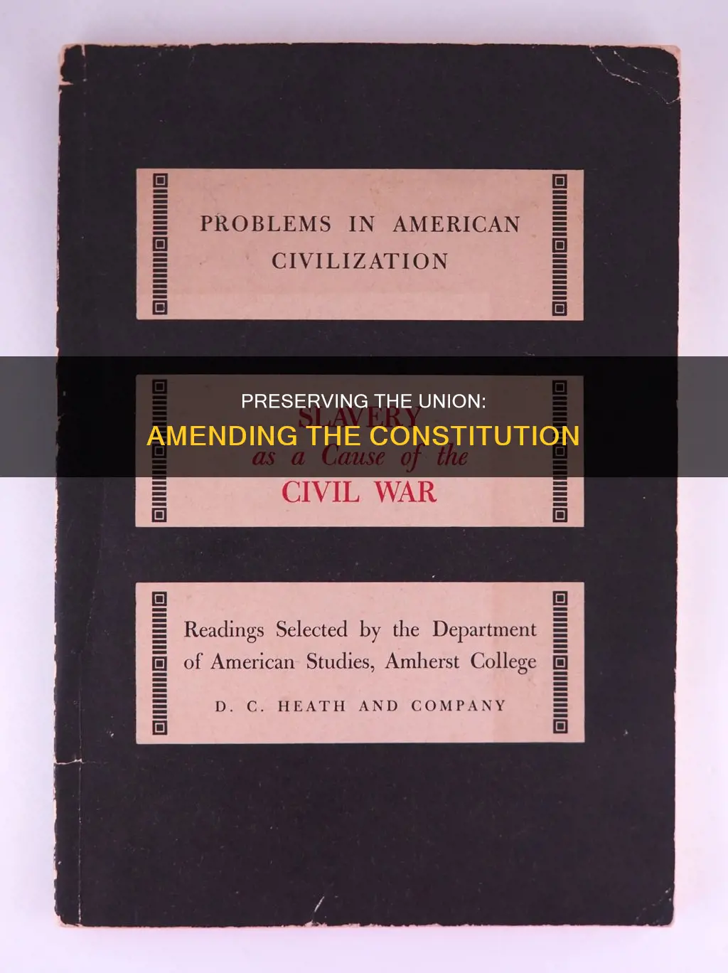 who wanted to amend the constitution to preserve the union