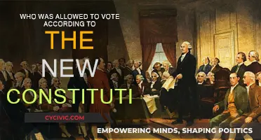 The New Constitution: Voting Rights and Privileges