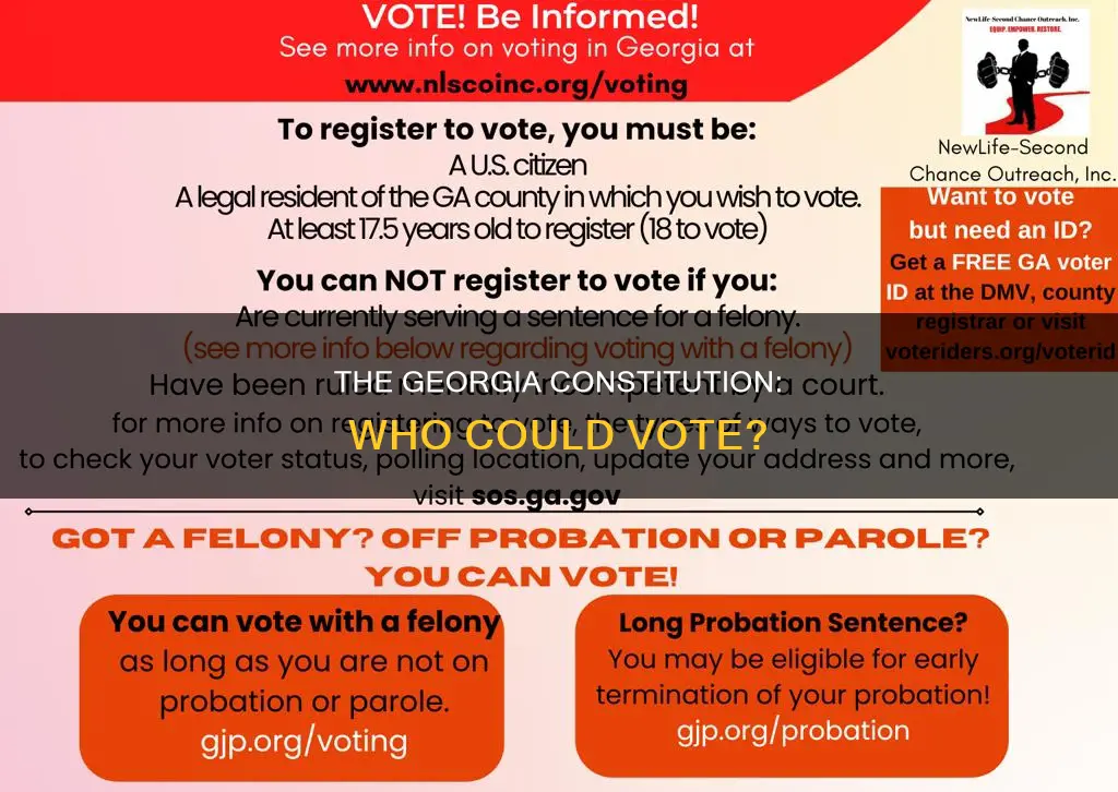 who was allowed to vote in the georgia constitution