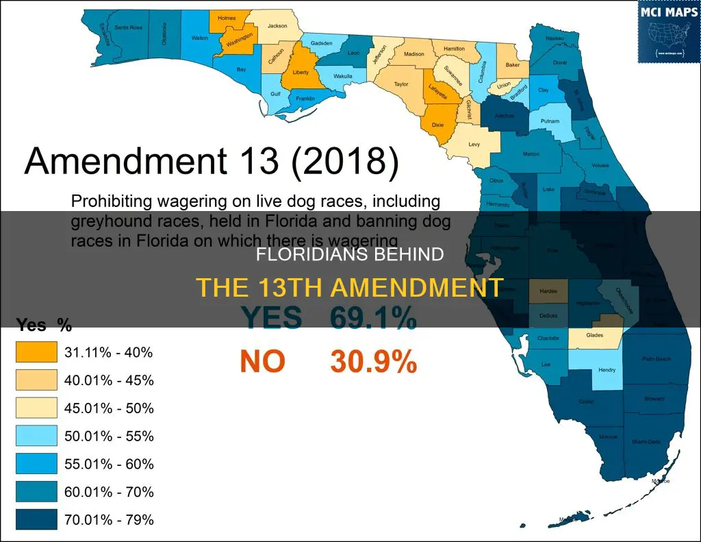 who was behind amendment 13 to the florida constitution