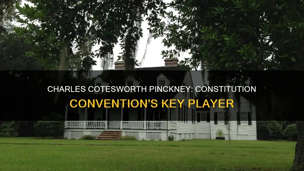 who was chrles cotesworth pickney in the constitution of conventon