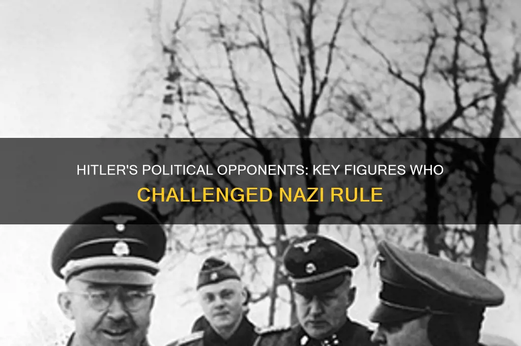 who was hitlers political opponents