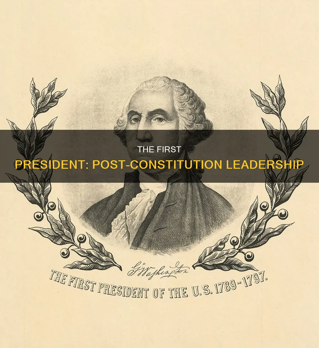 who was in charge after the constitution was ratified