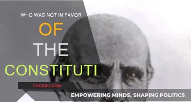 The Anti-Federalists: Constitution's Unfavorable Faction