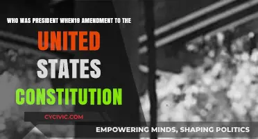 The 19th Amendment: A Presidential Legacy