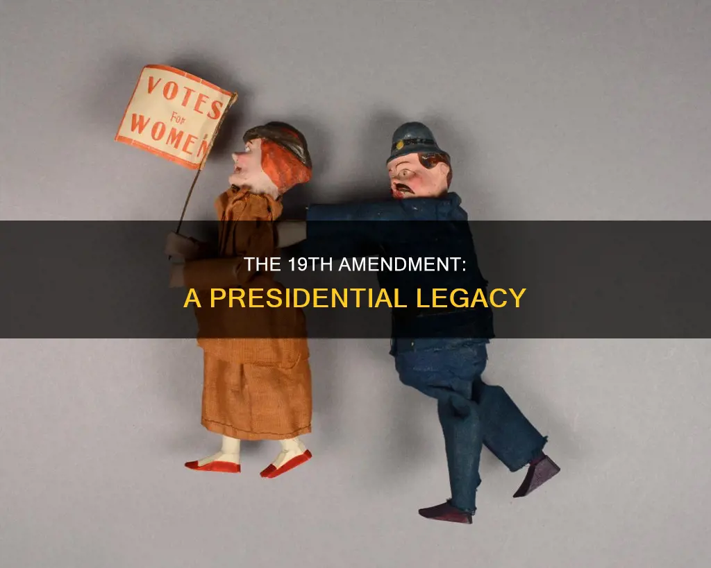 who was president when19 amendment to the united states constitution