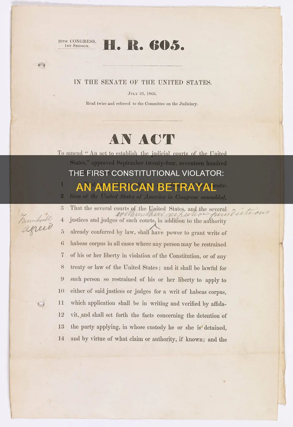 who was the first violated the constitution