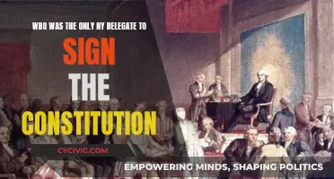 The Lone Signer: The NY Delegate's Story