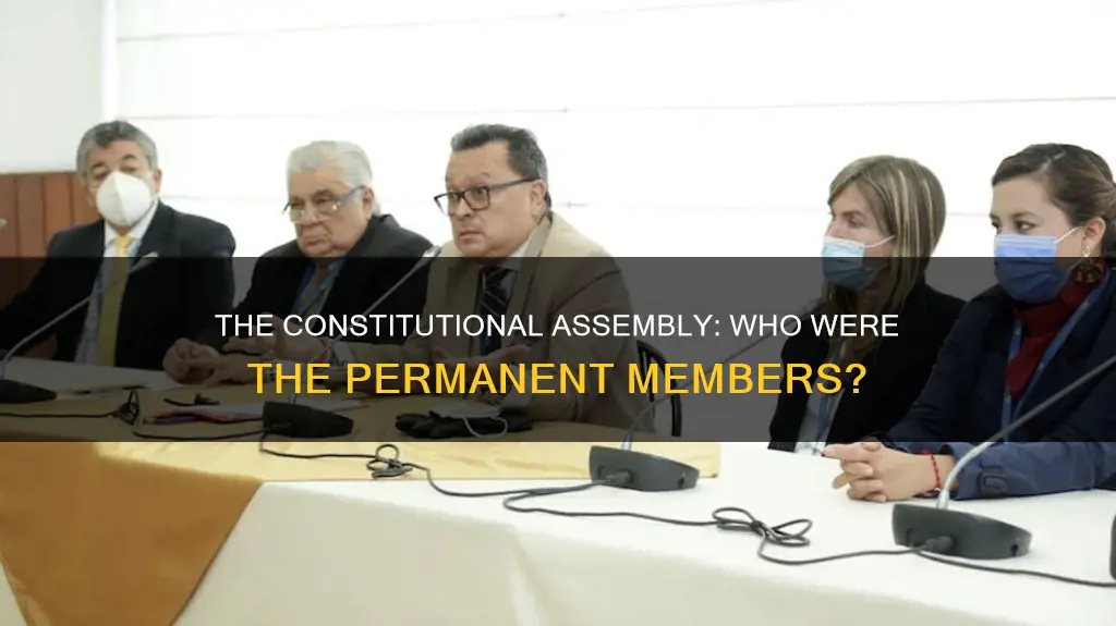 who was the permanent member of constitutional assembly
