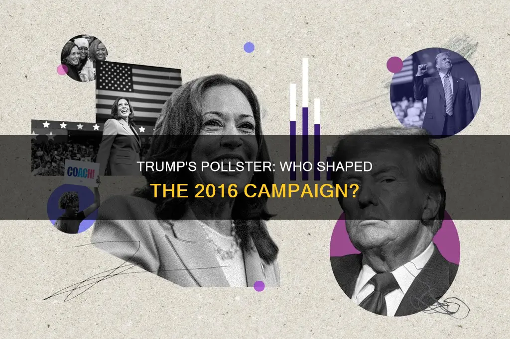 who was the political pollster for donald trump