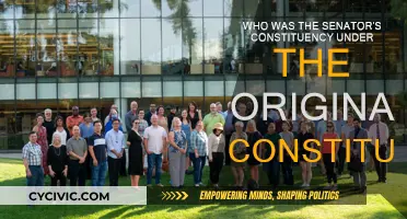 The Senator's Constituency: Understanding the Original Constitution