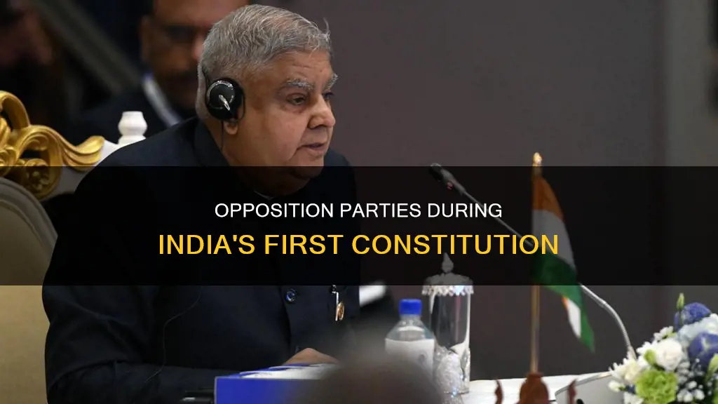who were in opposition during first constitution of independent india