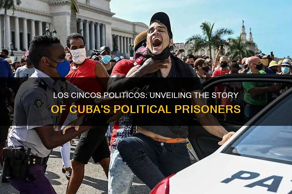 who were los cincos politic