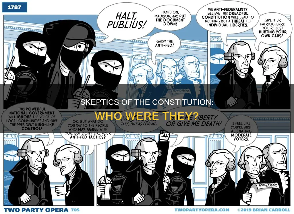 who were skeptical over the constitution in general