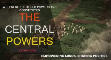 Allies and Enemies: World War I Powers