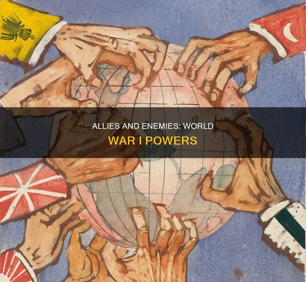 who were the allied powers and constituted the central powers