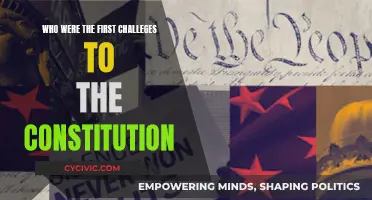Challenging the Constitution: Early Battles and Their Legacy
