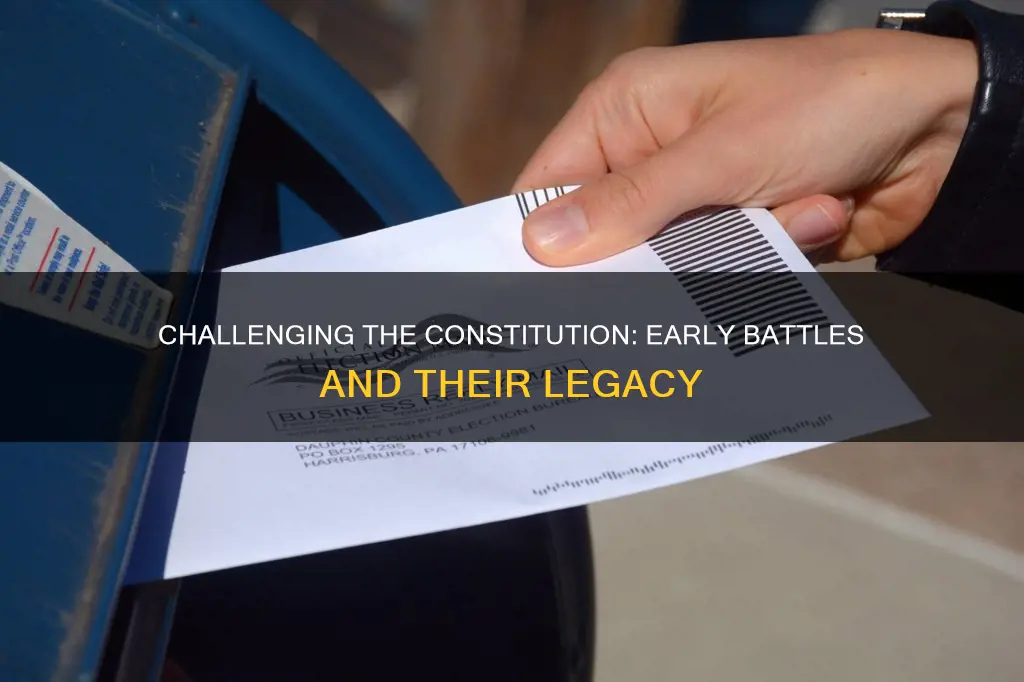 who were the first challeges to the constitution