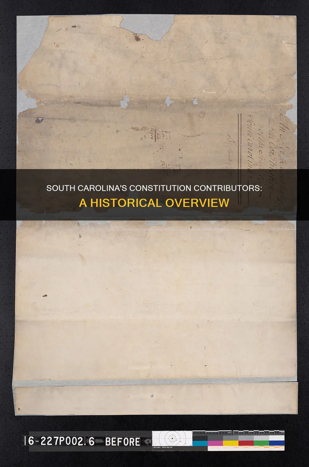 who were the south carolina who contributed to the constitution