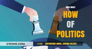 Understanding Politics: Key Players, Processes, and Power Dynamics Explained