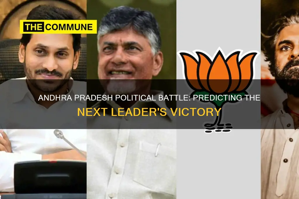 who will win andhra politics