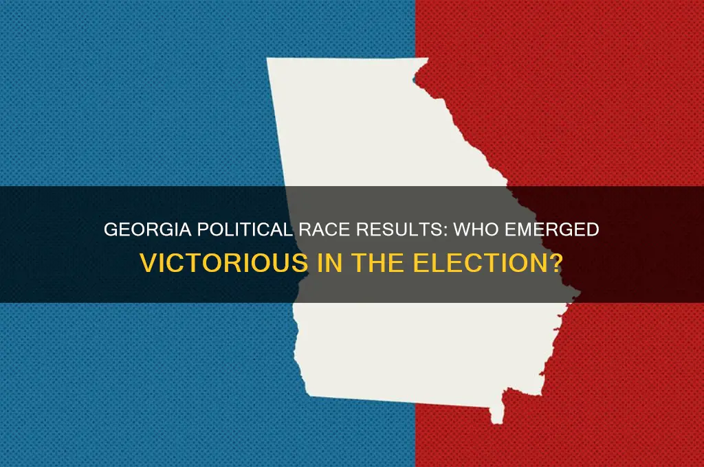 who won georgia political race