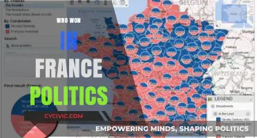 France's Political Landscape: Who Emerged Victorious in Recent Elections?