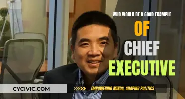 Great CEOs: Visionary Leadership and Innovation