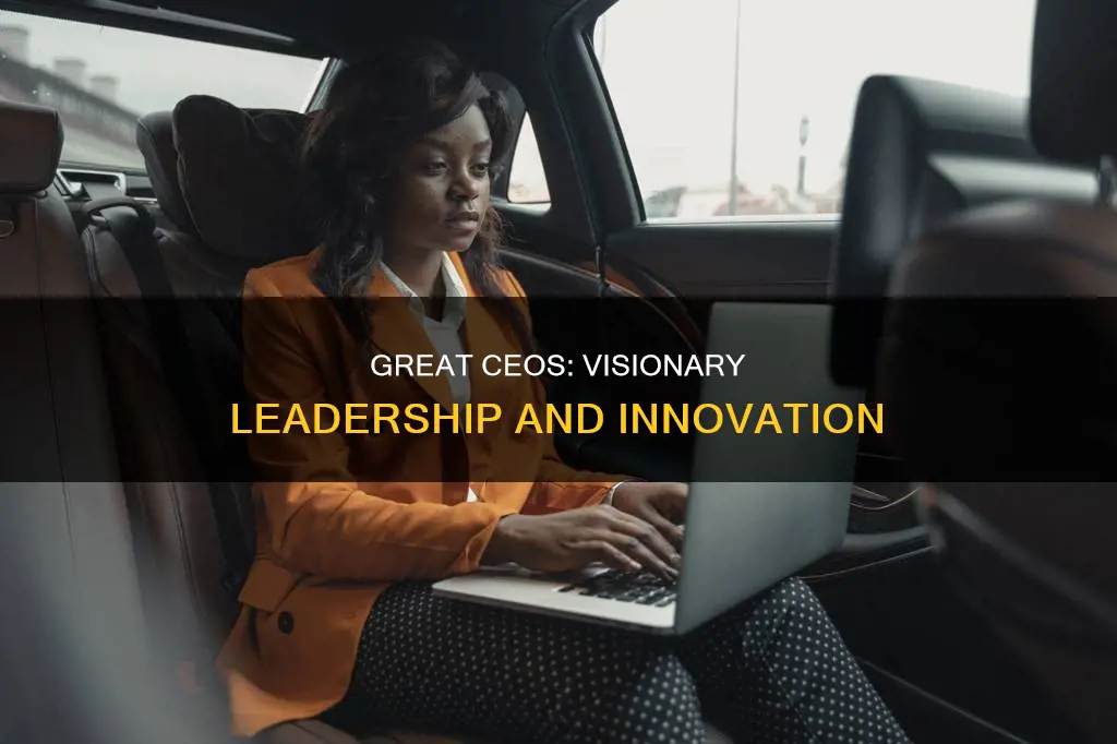 who would be a good example of chief executive