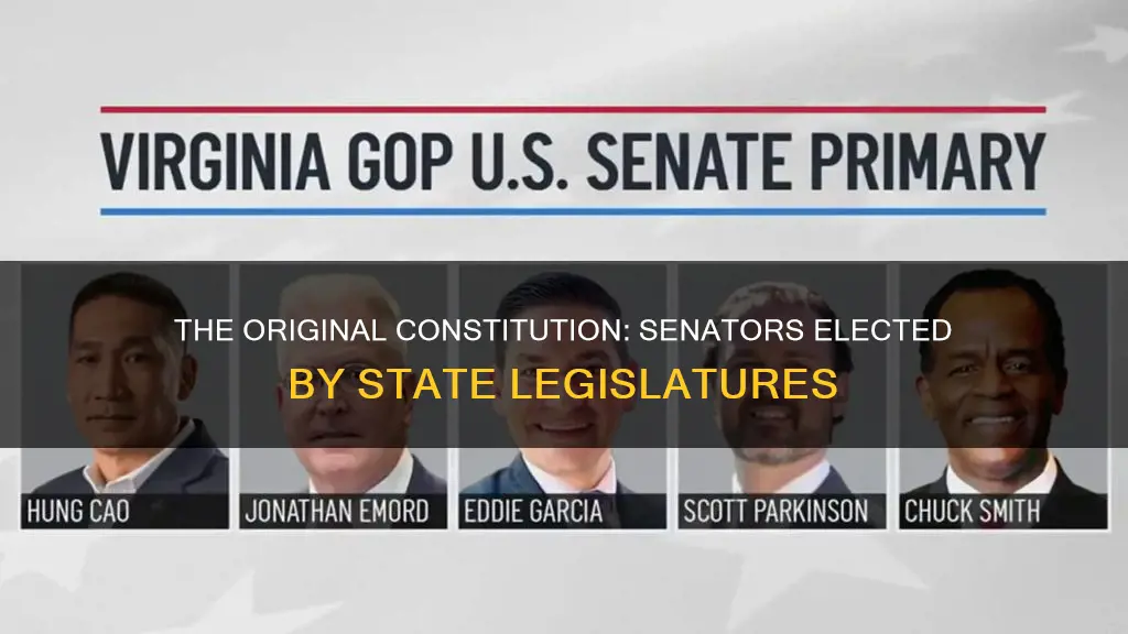 who would elect the senators in original constitution