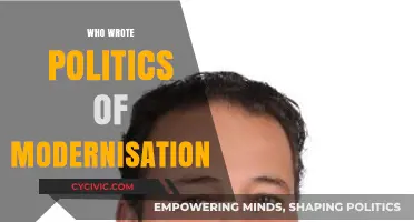 Unveiling the Author: Who Wrote 'Politics of Modernisation'?