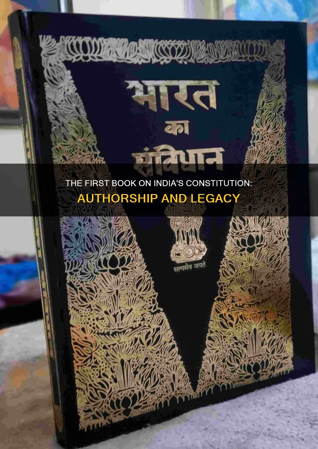 who wrote the first book on constitution of india